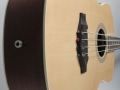 bass-acoustic-odin-natur-05